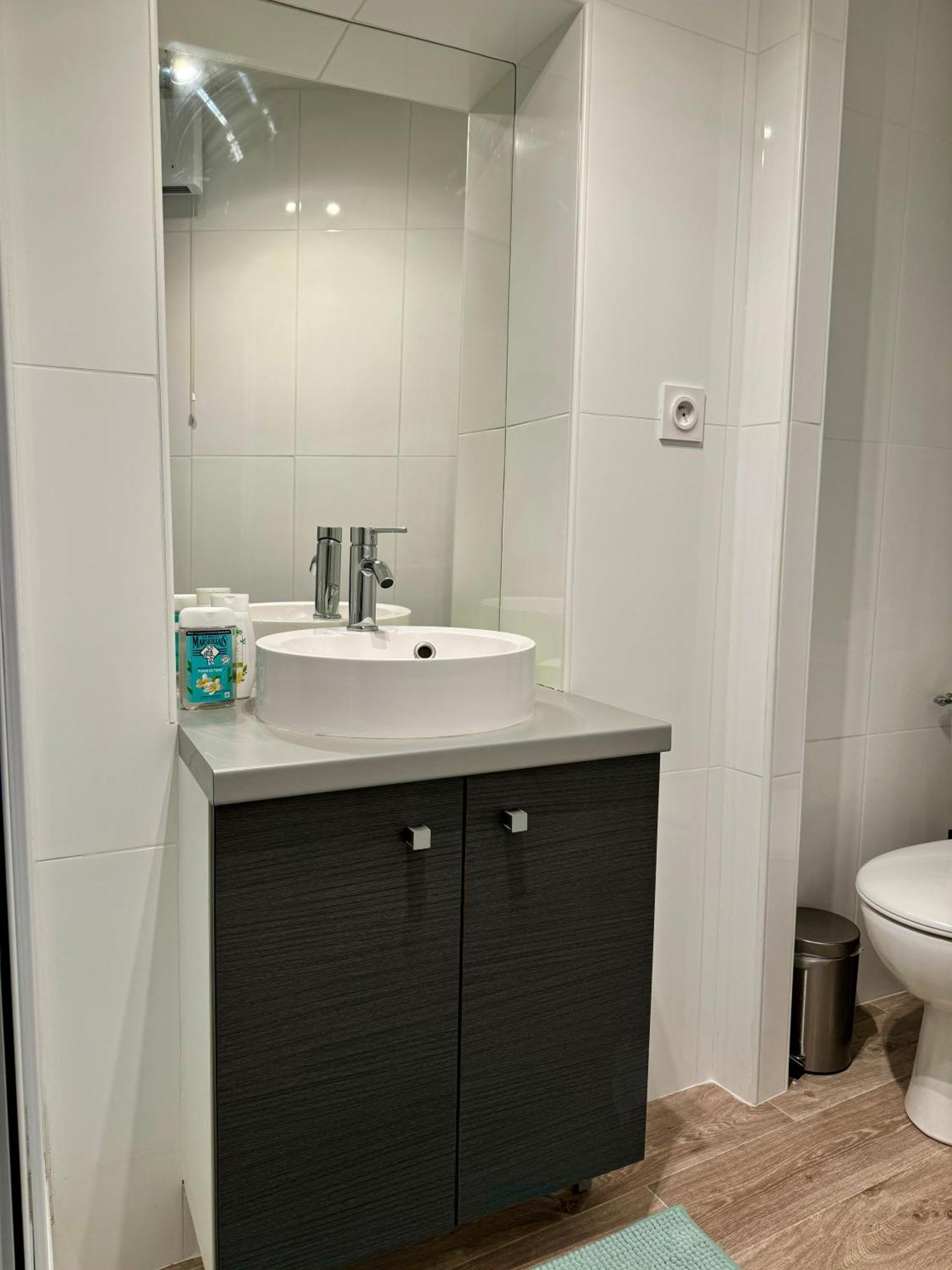 Studio Cozy Au Coeur Des Carmes Tuluza Zewnętrze zdjęcie